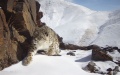 A snow leopard in Sanjiangyuan National Park in the Yushu Tibetan Autonomous Prefecture of northwest China's Qinghai Province. Photo by Xinhua.
