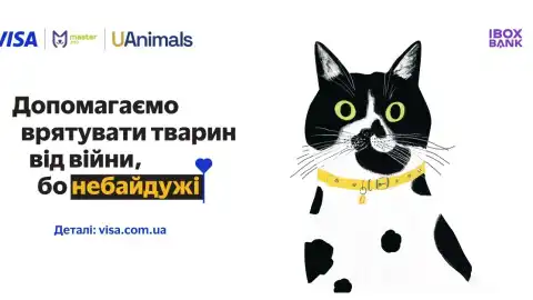 IBOX BANK вместе с Visa помогает животным, пострадавшим от войны