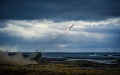 Lithuania buys 2 NASAMS systems for Ukraine – Gitanas Nauseda