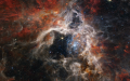 The Tarantula Nebula star-forming region. Photo by NASA/Xinhua.