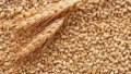 Ukraine Reduces Grain Exports By 24.4% To 32.5 Million Tons Since Early MY2022/2023