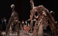 People view dinosaur fossils at Nanjing Museum, east China's Jiangsu Province. Photo by Su Yang/Xinhua.