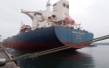 9 More Ships Depart From Ukrainian Seaports Via Grain Corridor - Infrastructure Ministry