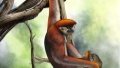 A painting provided by Kunming Institute of Zoology shows the life scene of Yuanmoupithecus xiaoyuan. Photo by Xinhua.