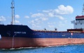 Another 11 Ships Leave Ukrainian Ports Within Grain Initiative - Infrastructure Ministry