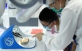 Visitors watch as a surgery robot demonstrates at Shougang Park during the China International Fair for Trade in Services (CIFTIS) in Beijing, capital of China. Photo by Xinhua/Ju Huanzong.