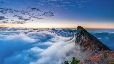 Природа. Фото: pixabay