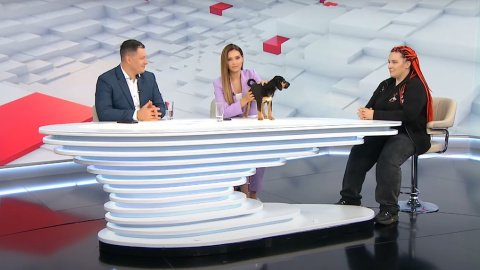 Щенок Пуговка. Скриншот: YouTube/ТСН
