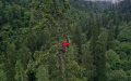 China's tallest tree measured at 83.4 meters. Photo by Xinhua.