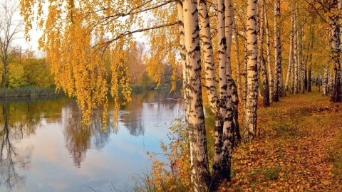 Осінь. Фото: pixabay
