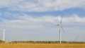A wind farm in Binhai New Area, north China's Tianjin. Photo by Xinhua/Sun Fanyue.