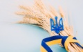 Romania Not Questioning Transit Of Ukrainian Agricultural Products To Its Ports - Solskyi