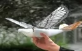 Bionic flight vehicle. Photo by Xinhua.