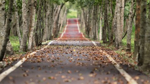 Осінь. Фото: pixabay