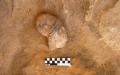 An alabaster head discovered during archaeological excavations in Alexandria, Egypt. Photo by Egyptian Ministry of Tourism and Antiquities/Handout via Xinhua.