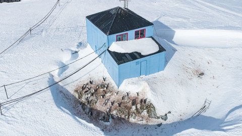 Снігові замети на станції "Академік Вернадський". Фото: facebook.com/AntarcticCenter