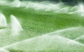 China's agricultural water-use efficiency improves. Photo by Xinhua.