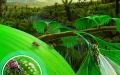 Diagram shows insect eggs laid in leaves being eaten by other insects some 200 mln years ago. Photo by Xinhua.