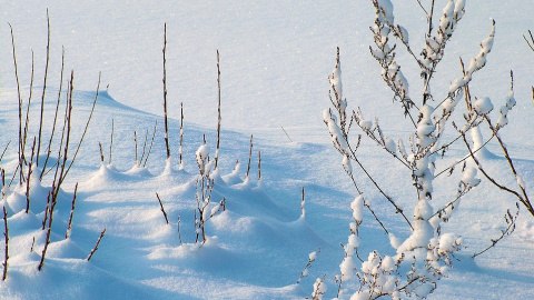 Зима. Фото: pixabay