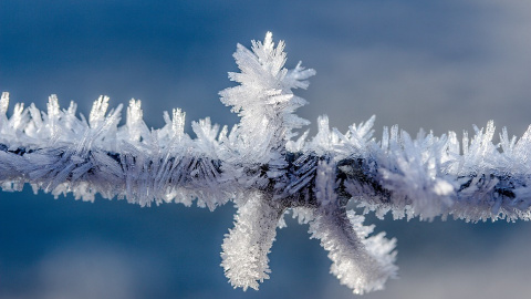 Зима. Фото: pixabay