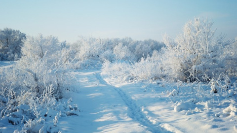 Зима. Фото: pixabay
