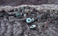 Ancient coins are unearthed in Jianhu County, Yancheng City, east China's Jiangsu Province. Photo by Xinhua.