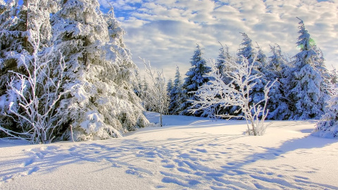 Зима. Фото: pixabay