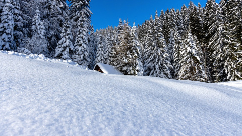Зима. Фото: pixabay