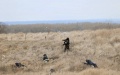 RF cancels the largest military exercises Zapad-23. British intelligence gives reasons