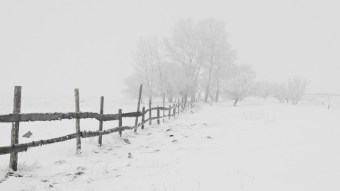 Зима. Фото: pixabay