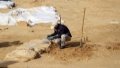 A worker excavates a Roman-era cemetery recently discovered in the northern Gaza Strip. Photo by Rizek Abdeljawad/Xinhua.