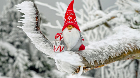 Зима. Фото: pixabay