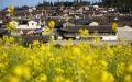 China selects happiest cities of 2022. Photo by Xinhua.