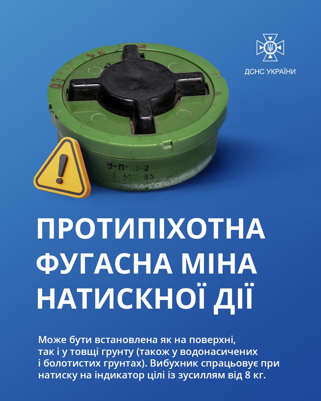 Фото: ДСНС