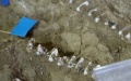 Million-year-old fossilized of Homo erectus excavated in central China. Photo by Xinhua.