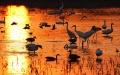China's ecological environment improved greatly over past decade. Photo by Xinhua.