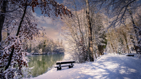 Зима. Фото: pixabay