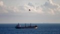 3 more ships arrive at Great Odesa ports for loading
