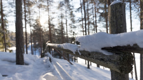 Зима. Фото: pixabay