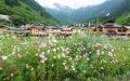 Biodiversity in China. Photo by Xinhua.