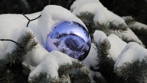 Зима. Фото: pixabay