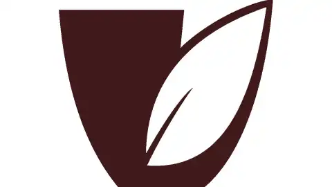 "Укртютюн" просит Президента отсрочить изменения в законодательстве в отношении дизайна пачки сигарет