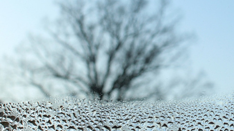 Зима. Фото: pixabay