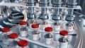 Chinese virologists develop technique to store mRNA vaccines at room temperature. Photo by Xinhua.