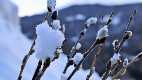 Зима. Фото: pixabay