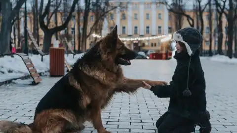 "Перший сніг". Фото: "Інтер"