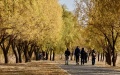 Beijing to complete 8,000-hectare ecological restoration. Photo by Xinhua.