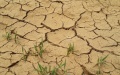 Chinese researchers reveal causes of increased agricultural drought in Central Asia. Photo by Xinhua.