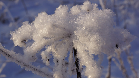 Зима. Фото: pixabay