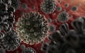 COVID-19 virus. Photo by Xinhua.